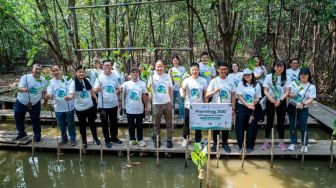 Bukan Sekadar Menahan Abrasi, Ini Manfaat Jangka Panjang Mangrove bagi Pesisir