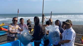 Dua Koper Bikin Curiga! Petugas YIA Gagalkan Penyelundupan Ribuan Benih Lobster ke Batam