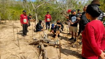 Hutan Mangrove Malang Selatan Dibidik Masuk Bursa Karbon: Warga Lokal Bakal Cuan?