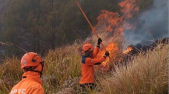 Terjebak Badai Api Bromo: 4 Petugas dan Relawan Gugur Terpanggang di Lereng Pusung Lingker