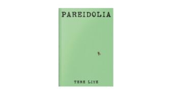 Tadabbur Novel Pareidolia: Hidup Sejatinya adalah Permainan dan Senda Gurau