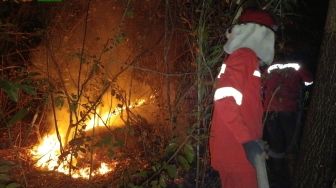 452 Hektar Lahan Terbakar di Palembang, 93 Hektar Berada di Kawasan Rawa Konservasi