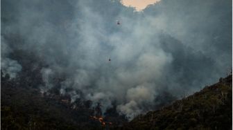 Jeritan dari Balik Kabut: Menagih Kehadiran Nurani saat Tanah Air Terbakar