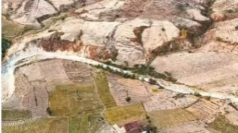 Babat Habis Hutan Demi Lahan Pertanian, Warga Bojonegoro Bersiap Hadapi Bencana?
