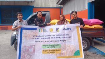 Bulog Gencarkan Penyaluran 150 Ribu Ton SPHP Jagung Tahap II, Prioritaskan Peternak Mikro