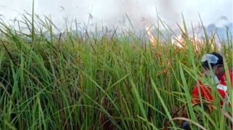 24 Hari Membara, 30 Hektare Hutan Way Kambas Masih Mengepulkan Asap