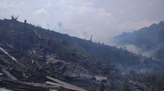 BNPB: 60 Hektare Hutan Terbakar di Palolo Sigi