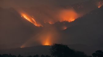 Api membakar vegetasi di kawasan Gunung Arjuno, Lawang, Kabupaten Malang, Jawa Timur, Selasa (20/10/2026). [ANTARA FOTO/Irfan Sumanjaya/YU]