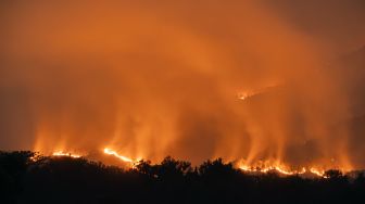 Api membakar vegetasi di kawasan Gunung Arjuno, Lawang, Kabupaten Malang, Jawa Timur, Selasa (20/10/2026). [ANTARA FOTO/Irfan Sumanjaya/YU]
