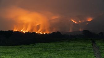Lebih dari 100 Titik Api Kepung Gunung Arjuno, Jalur Pendakian Ditutup