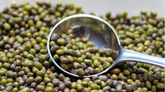 Kacang Hijau: Penyelamat Sawah Saat Kemarau dan Jalan Rezeki Tak Terduga