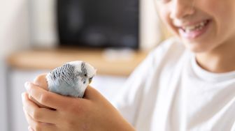 10 Arti Mimpi Menangkap Burung dengan Tangan Kosong Menurut Primbon dan Psikologi