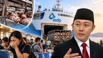 Bau Babi di Kapal ASDP Tuai Keluhan Penumpang, Pemerhati Usul Kapal Khusus Ternak dari APBN