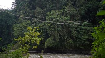 Tiga Jembatan di Batang Toru, Ikhtiar Menjaga Satwa Liar Tetap Terhubung