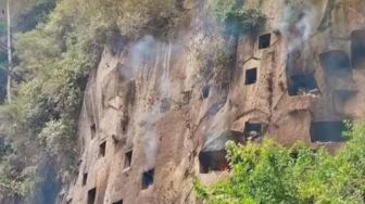 Kebakaran Hutan di Toraja Utara Hanguskan Kuburan Leluhur