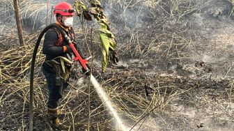 Kebakaran Lahan di Tol Samarinda-Balikpapan, Petugas Terkendala Pasokan Air