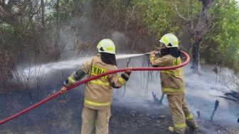 Puntung Rokok Diduga Picu Kebakaran Lahan di Pulau Tidung