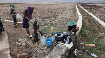 BMKG Ungkap 75 Persen Wilayah Indonesia Masih Kemarau