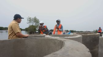 Kucurkan Rp10 Miliar untuk Solusi Banjir Rob, Pemprov Jateng Bangun Tanggul Hybrid di Demak