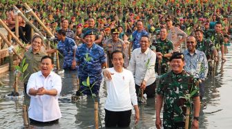 Sandiwara Mangrove Massal: Selamatkan Alam atau Cuma Formalitas Pejabat?