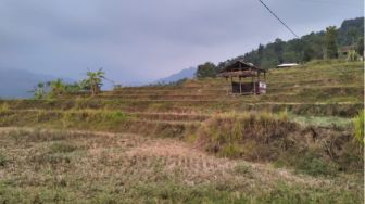Kemarau Panjang di Kandangwesi, Bagaimana Masyarakat Adat Pulihkan Hutan Demi Jaga Sumber Air?