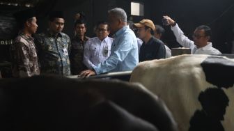 Magelang Disiapkan Jadi Sentra Susu Baru, Wagub Taj Yasin Pastikan Dukungan Kesehatan Ternak