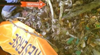 Niat Cari Madu, Petani Pesawaran Temukan Kerangka Manusia di Tebing 1.150 MDPL