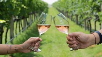 Ada Wine Asli Bali di Balik Pesona Pulau Dewata, Begini Karakter Rasa dari Kebun Tropisnya