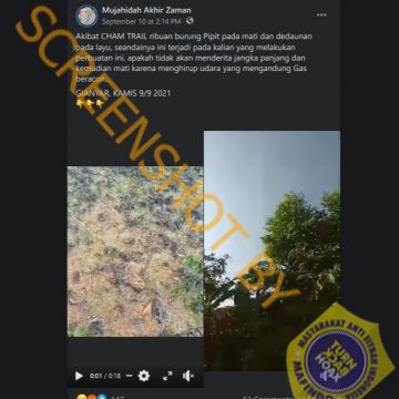 Benarkah Ribuan Burung Pipit di Gianyar Mati karena Chemtrail? (Turnbackhoax.id)