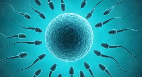 5 Cara Jitu Bikin Sperma