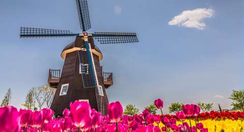 Belanda Jelang Lockdown Covid 19 Keep Calm Dan Antri Ganja