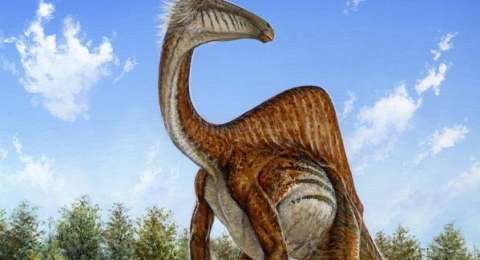 800 Gambar Dinosaurus Ganas Paling Keren 800 Gambar Dinosaurus Ganas Paling Keren