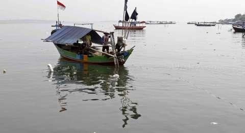 Aplikasi Ini Bisa Pandu Nelayan Deteksi Keberadaan Ikan