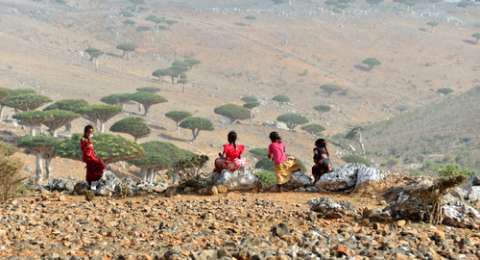 Socotra Dunia Yang Hilang Di Yaman
