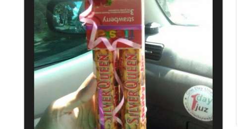 3000 Gambar Coklat Yang Besar Gratis 3000 Gambar Coklat Yang Besar Gratis