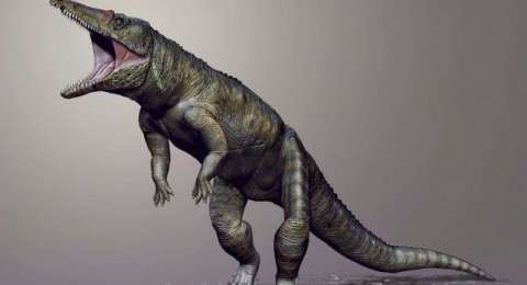 Sebelum Dinosaurus Ini Binatang Paling Ditakuti Di Bumi