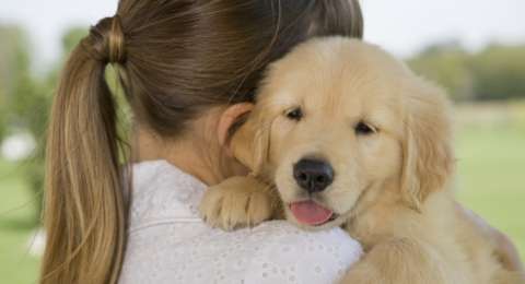 Perempuan Ini Selamatkan 100 Ekor Anjing Dari Pisau Tukang Jagal
