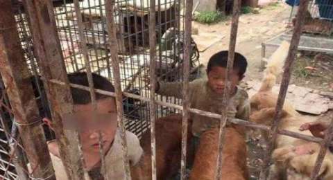 Dua Anak Ini Tinggal Di Kandang Anjing Dan Minum Dari Kubangan