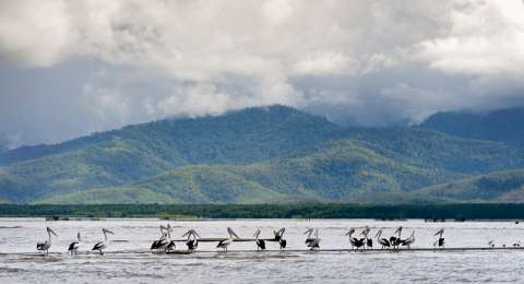 Arkeolog Teliti Jejak Hunian Manusia Tertua Di Maluku