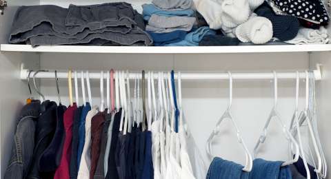 Baju Satu Lemari Habis Dimakan Rayap Gegara Ditinggal Tujuh Bulan Merantau, Bikin Syok!