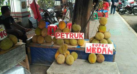 Unduh 66 Gambar Durian Pensil Paling Baru 