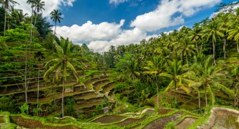 Ini Daftar 10 Desa Terbaik Di Indonesia