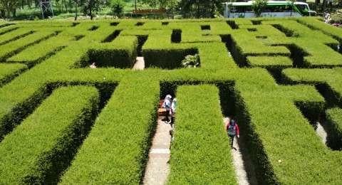 Menikmati Petualangan Seru Ala Maze Runner Di Labirin Coban