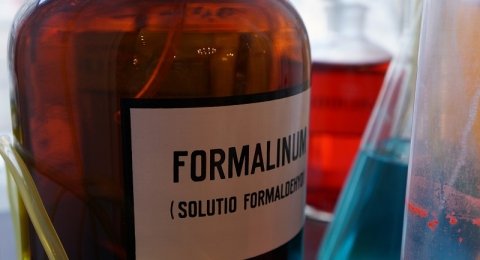 Bahaya Penyalahgunaan Formalin pada Bahan Pangan
