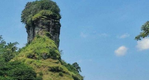 Asyiknya Main Ke Kebun Teh Kulonprogo Asyiknya Main Ke Kebun Teh Kulonprogo