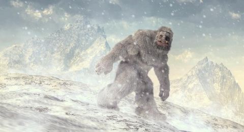 58+ Foto Penampakan Yeti Dan Bigfoot Terbaru