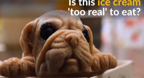 Unik Kafe Ini Sajikan Es Krim Mirip Anak Anjing