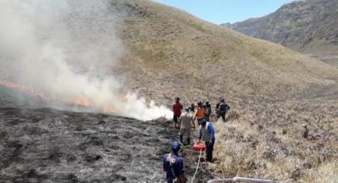 Sabana Gunung Bromo Kebakaran Tempat Wisata Sempat Ditutup