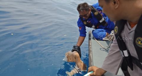 Cari Korban Lion Air Jatuh Penyelam Kesulitan Jarak Pandang