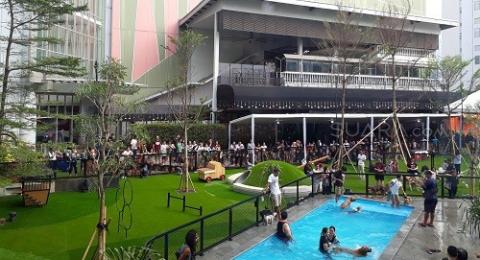 Asyik Kini Ada Taman Bermain Khusus Anjing Di Jakarta Lho